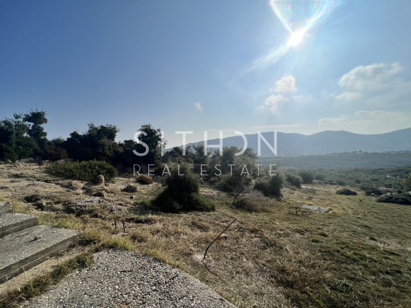 Οικόπεδο 500 τ.μ. προς πώληση, Σκάλα Συκέας