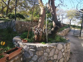 Κτίριο 360 τ.μ. για πώληση, Αχαΐα, Ρίο-thumb-15