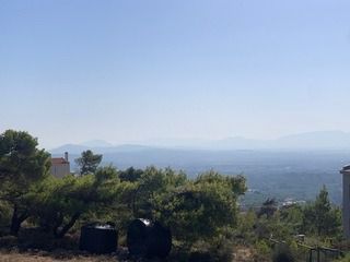 Οικόπεδο 500τ.μ. για πώληση-Πικέρμι » Διώνη