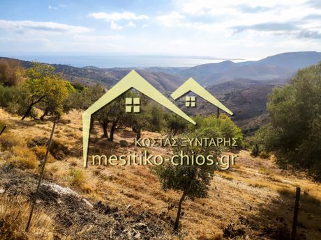Οικόπεδο 21.025τ.μ. για πώληση-Χίος » Ομηρούπολη
