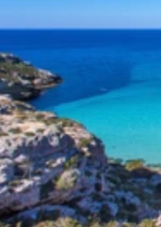 Οικόπεδο 46.000 τ.μ. προς πώληση, Σωρός Αντιπάρου