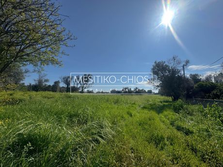 Land plot 4.676,64sqm for sale-Chios » Kampochoria