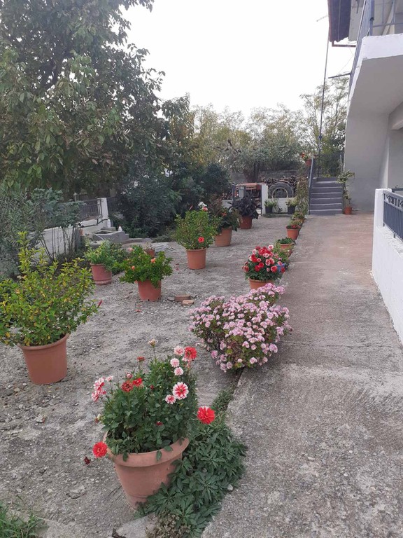 Μονοκατοικία 141 τ.μ. πρός πώληση, Πέλλα, Κύρρος