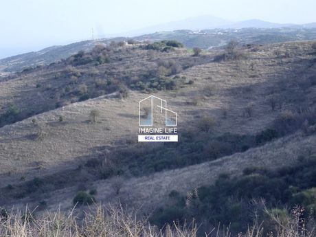 Αγροτεμάχια 60.000 τ.μ. για πώληση