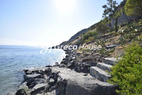 Βίλλα 500τ.μ. για πώληση-Αρτεμίσιο » Κέντρο