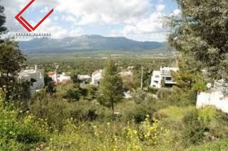 Land plot 1.228 sqm for sale