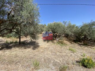 Οικόπεδο 2.000 τ.μ. για πώληση, Αχαΐα, Αιγιάλεια-thumb-1