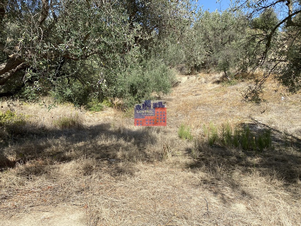Οικόπεδο 2.000 τ.μ. πρός πώληση, Αχαΐα, Αιγιάλεια