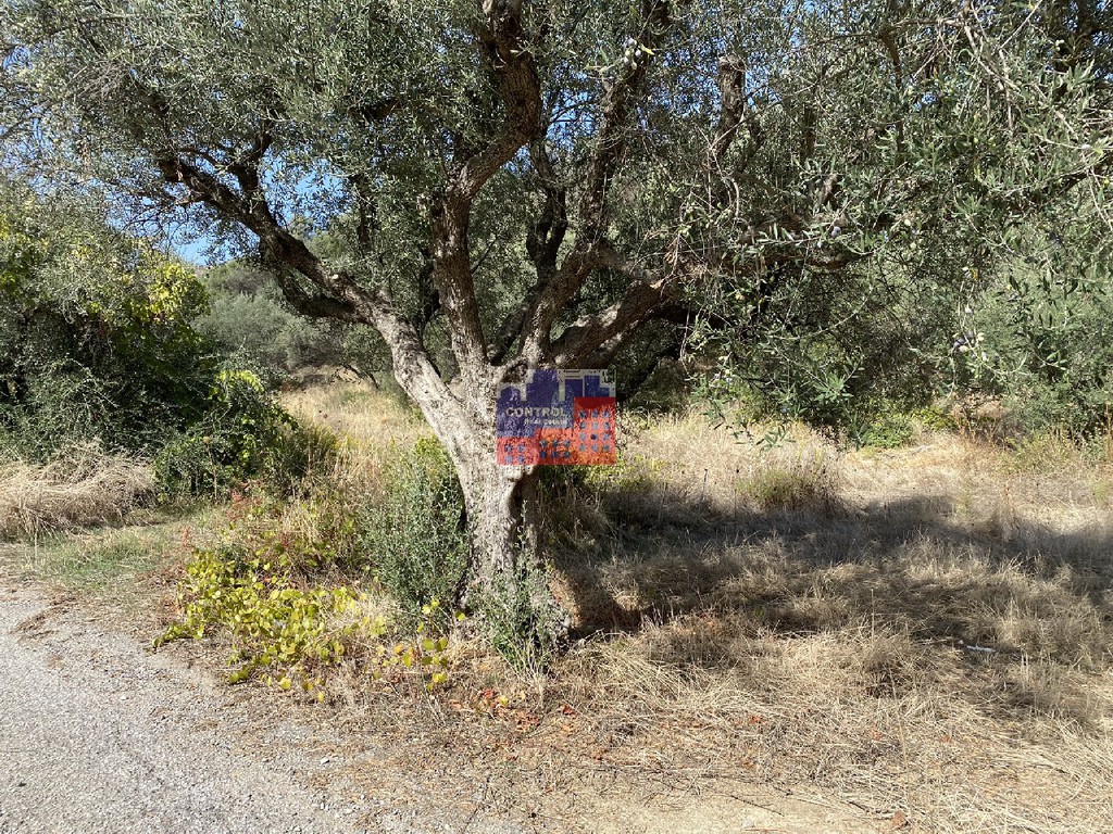 Οικόπεδο 2.000 τ.μ. πρός πώληση, Αχαΐα, Αιγιάλεια