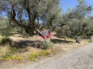 Οικόπεδο 2.000 τ.μ. για πώληση, Αχαΐα, Αιγιάλεια-thumb-5