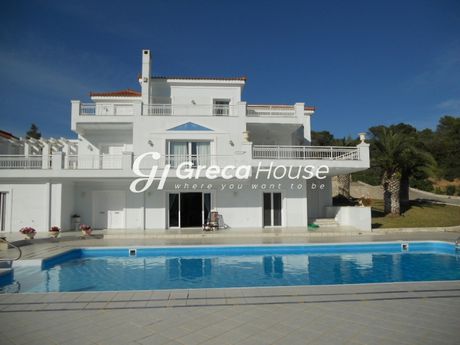 Βίλλα 700τ.μ. για πώληση-Κρανίδι » Κέντρο