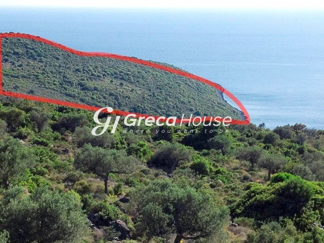 Οικόπεδο 318.000 τ.μ. πρός πώληση, Μεσσηνία, Μεσσήνη