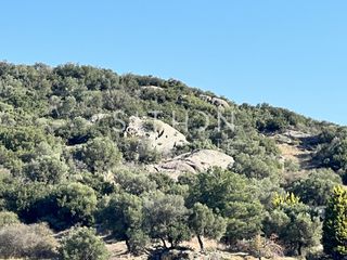 Αγροτεμάχια 3.394 τ.μ. για πώληση