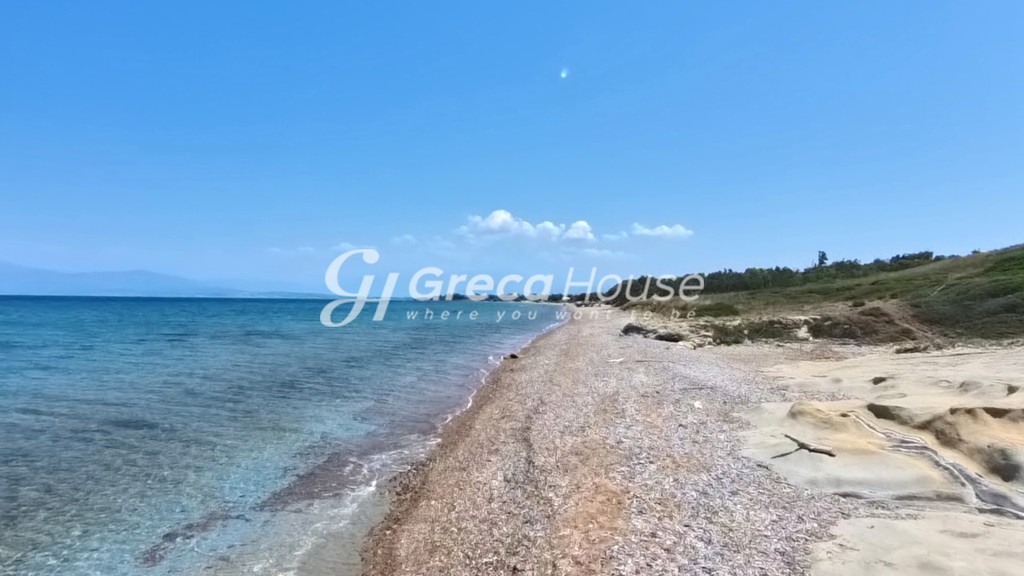 Οικόπεδο 96.000 τ.μ. πρός πώληση, Αχαΐα, Λάρισσος