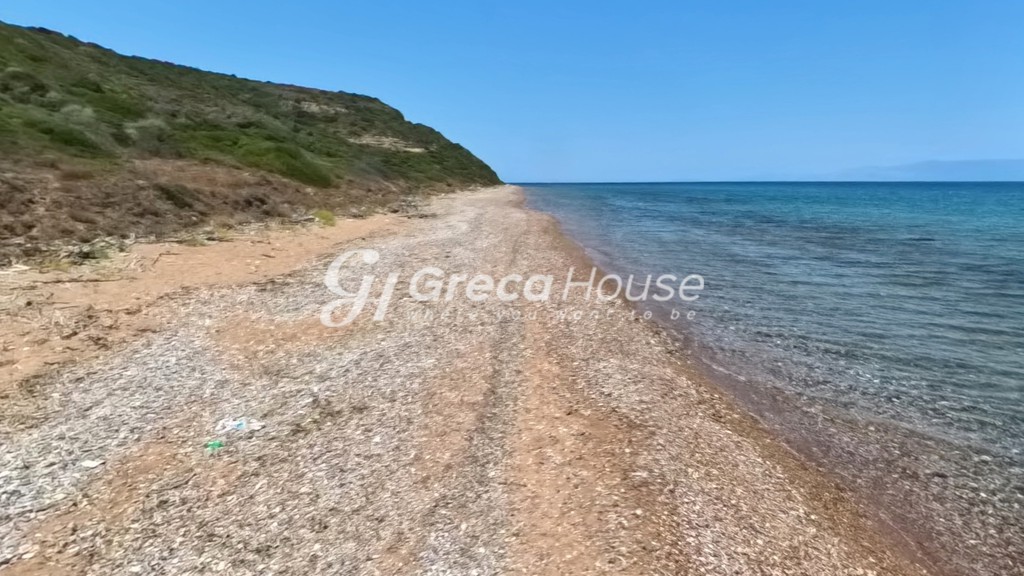 Οικόπεδο 96.000 τ.μ. πρός πώληση, Αχαΐα, Λάρισσος