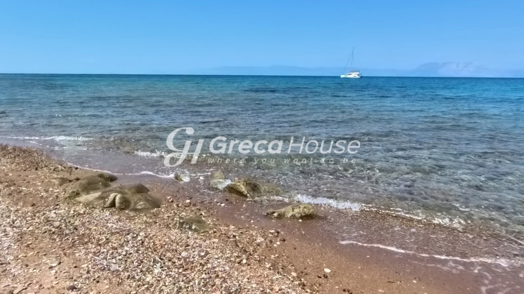 Οικόπεδο 96.000 τ.μ. πρός πώληση, Αχαΐα, Λάρισσος