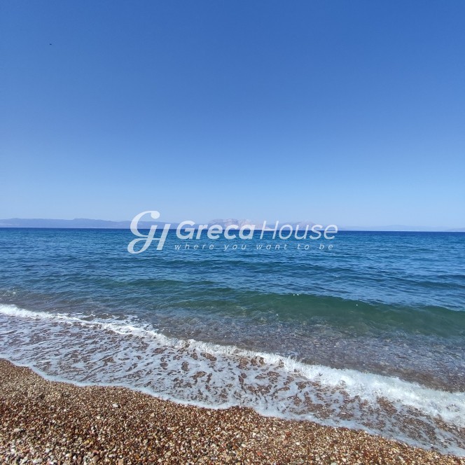 Οικόπεδο 96.000 τ.μ. πρός πώληση, Αχαΐα, Λάρισσος