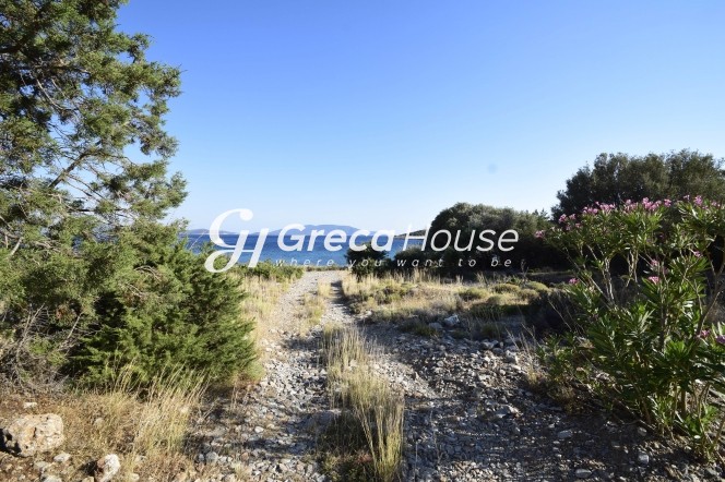 Οικόπεδο 31.000 τ.μ. πρός πώληση, Εύβοια, Μαρμάρι