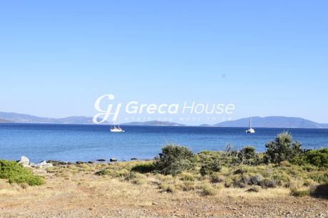 Οικόπεδο 31.000τ.μ. για πώληση-Μαρμάρι » Κέντρο