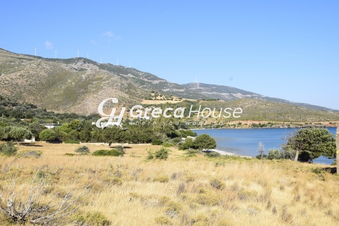 Οικόπεδο 31.000 τ.μ. πρός πώληση, Εύβοια, Μαρμάρι