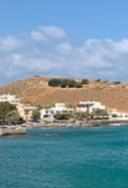 Οικόπεδο 2.000 τ.μ. προς πώληση, Κυκλάδες, Νάξος - Δρυμαλία