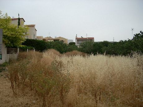 Οικόπεδο 385τ.μ. για πώληση-Βάρη- βάρκιζα » Ασύρματος αλίανθου
