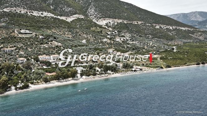 Οικόπεδο 11.200 τ.μ. πρός πώληση, Αργολίδα, Επίδαυρος