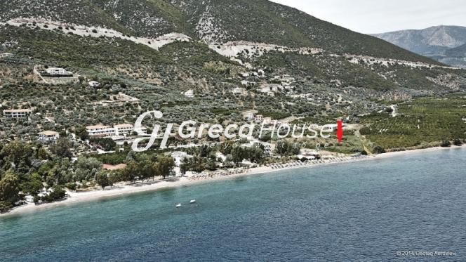 Land plot 11.200 sqm for sale, Argolis, Epidavros