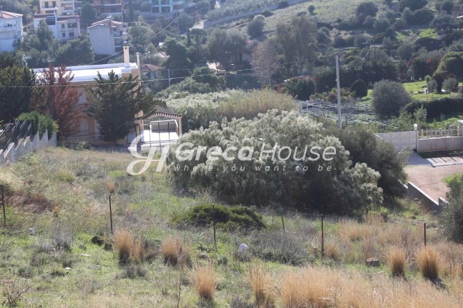 Οικόπεδο 1.350 τ.μ. πρός πώληση, Αττική - Υπόλοιπο, Ανάβυσσος