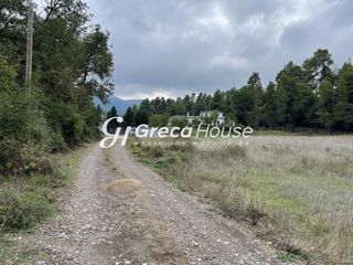 Βίλλα 445 τ.μ. για πώληση, Εύβοια, Κηρέα-thumb-4