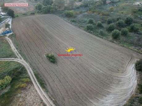 Αγροτεμάχια 1.180τ.μ. για πώληση-Κασσάνδρα » Κασσάνδρεια