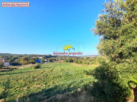 Αγροτεμάχια 1.180τ.μ. για πώληση-Κασσάνδρα » Κασσάνδρεια