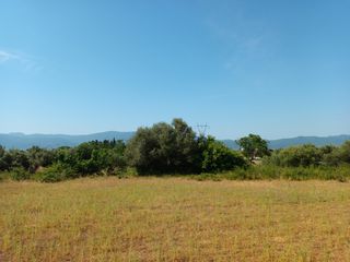 Οικόπεδο 4.200 τ.μ. για πώληση