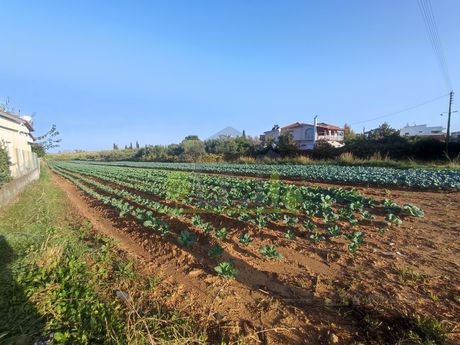 Land plot 3.796sqm for sale-Makris Gialos » Varda