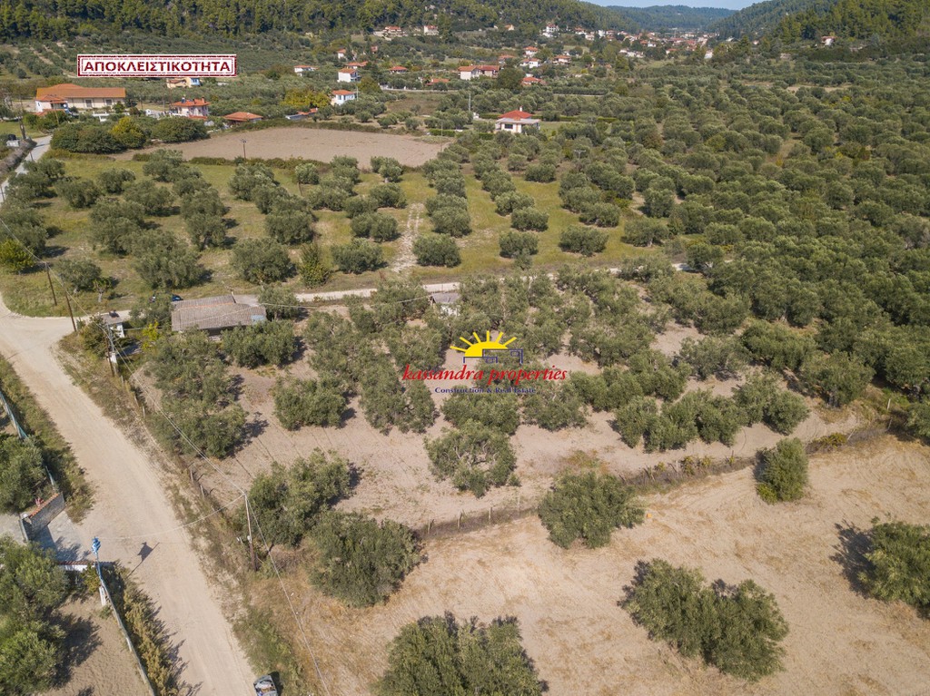 Αγροτεμάχια 3.200 τ.μ. πρός πώληση, Χαλκιδική, Κασσάνδρα