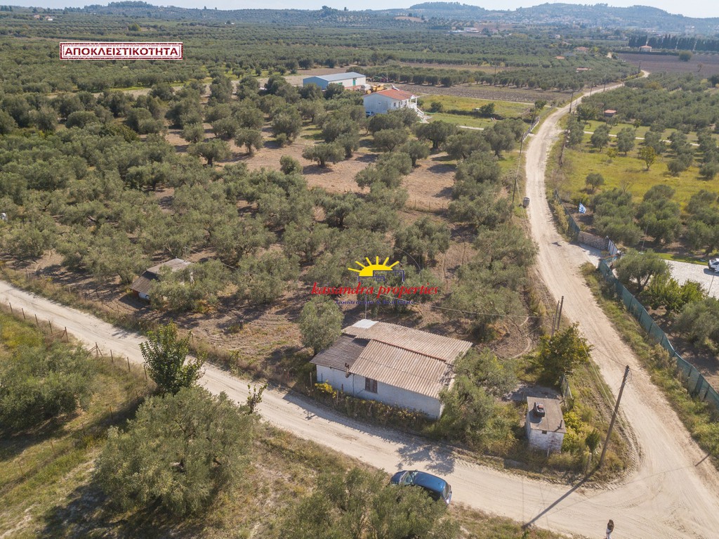 Αγροτεμάχια 3.200 τ.μ. πρός πώληση, Χαλκιδική, Κασσάνδρα