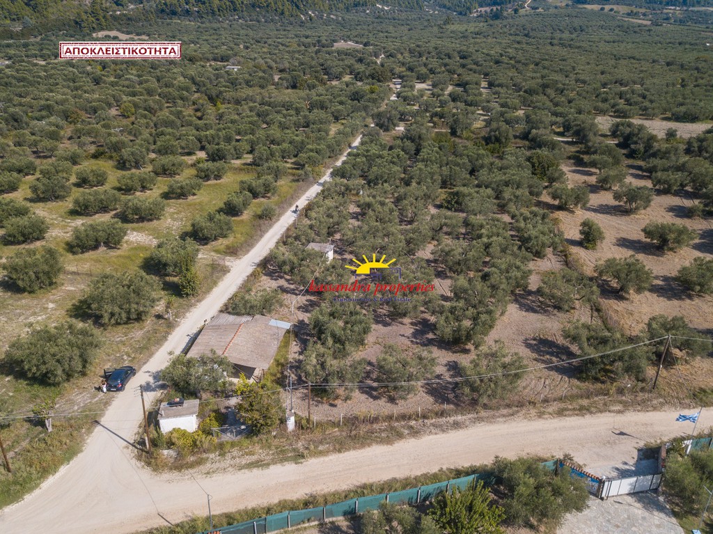 Αγροτεμάχια 3.200 τ.μ. πρός πώληση, Χαλκιδική, Κασσάνδρα