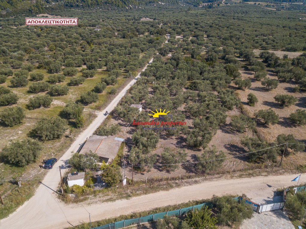 Αγροτεμάχια 3.200 τ.μ. πρός πώληση, Χαλκιδική, Κασσάνδρα