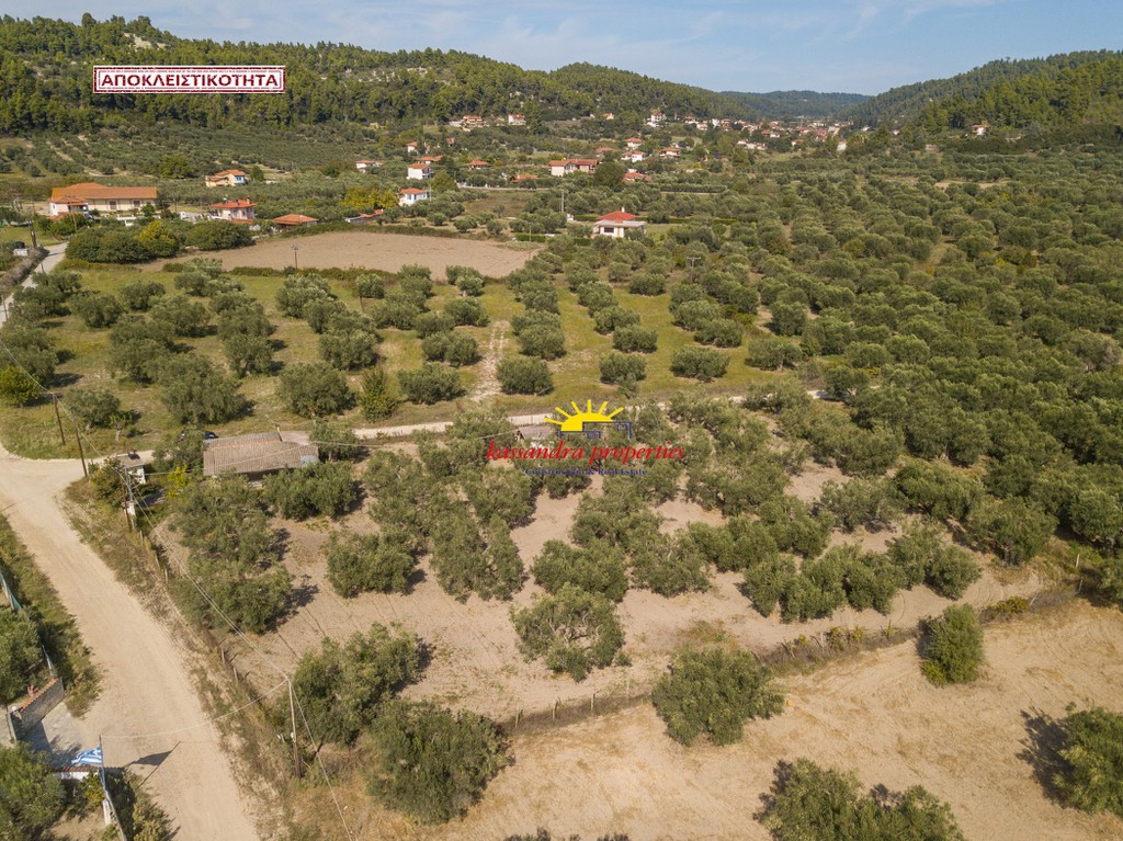 Αγροτεμάχια 3.200 τ.μ. πρός πώληση, Χαλκιδική, Κασσάνδρα