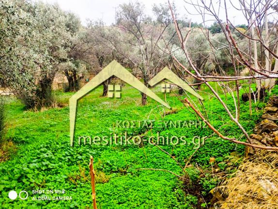 Land plot 1.126 sqm for sale, Chios Prefecture, Chios