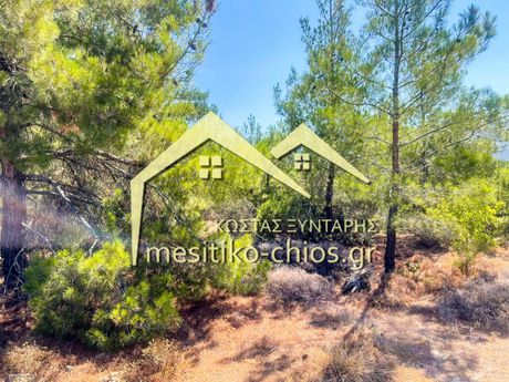 Land plot 1.026,24sqm for sale-Chios » Amani