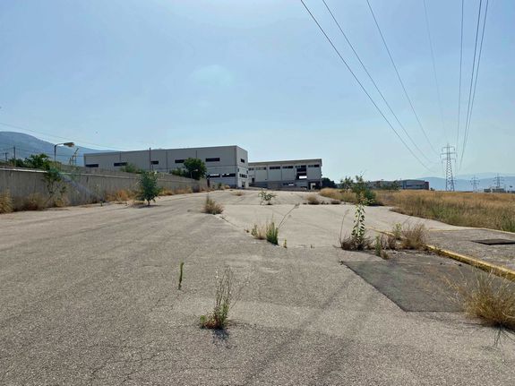 Parcel 42.000 sqm for sale, Rest Of Attica, Aspropirgos