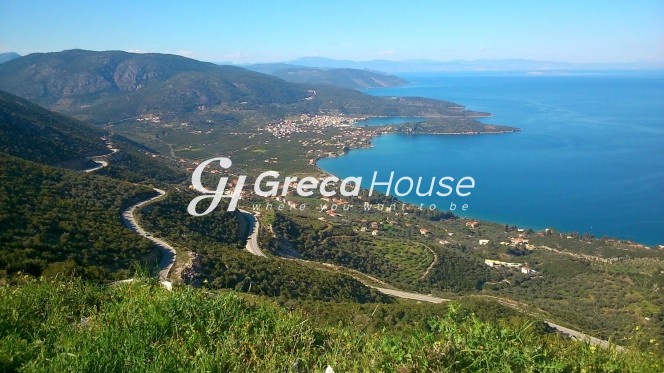 Οικόπεδο 4.261 τ.μ. πρός πώληση, Αργολίδα, Επίδαυρος