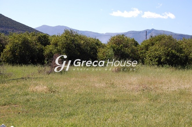 Οικόπεδο 4.261 τ.μ. πρός πώληση, Αργολίδα, Επίδαυρος