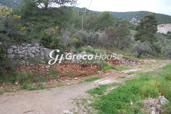 Οικόπεδο 4.261 τ.μ. πρός πώληση, Αργολίδα, Επίδαυρος