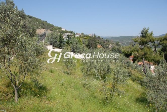 Οικόπεδο 4.261 τ.μ. πρός πώληση, Αργολίδα, Επίδαυρος