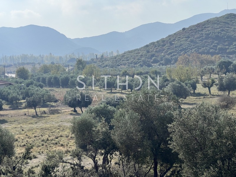 Αγροτεμάχια 3.705 τ.μ. προς πώληση, Συκιά Τορώνης
