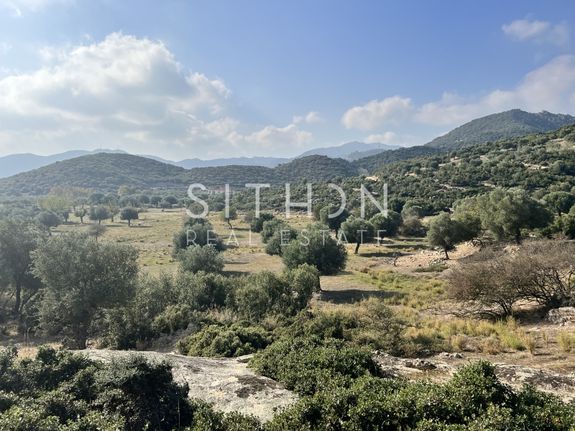 Parcel 3.705 sqm for sale, Chalkidiki, Toroni