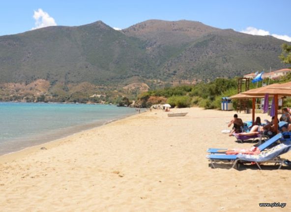 Αγροτεμάχια 1.330 τ.μ. για πώληση, Λακωνία, Γύθειο