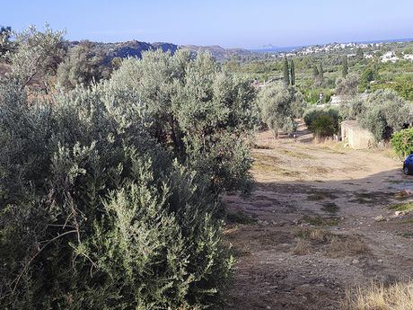 Οικόπεδο 950τ.μ. για πώληση-Τυμπάκι » Φανερωμένη